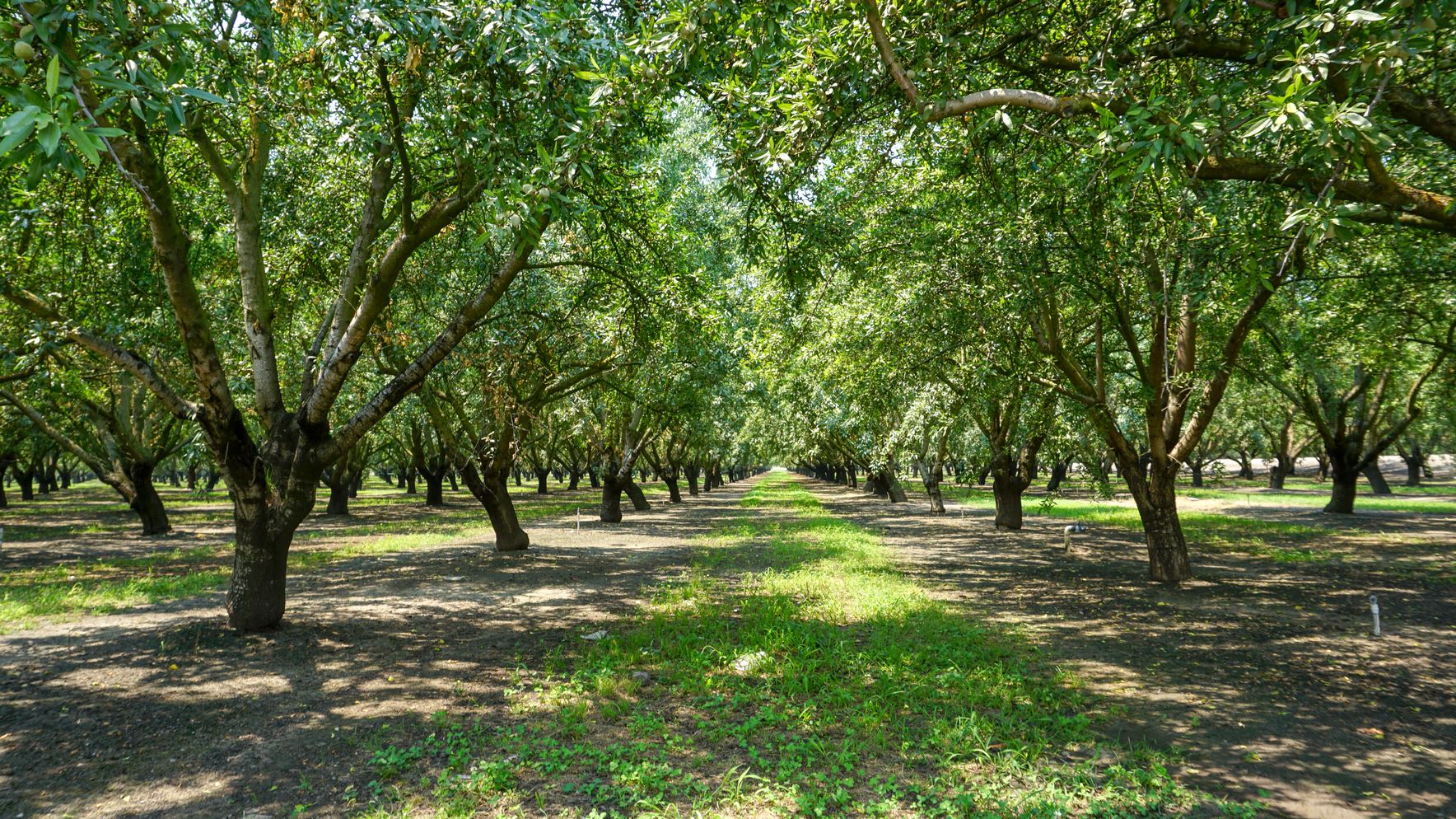 Williamson Act Program